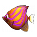 🐟 吞食鱼吧